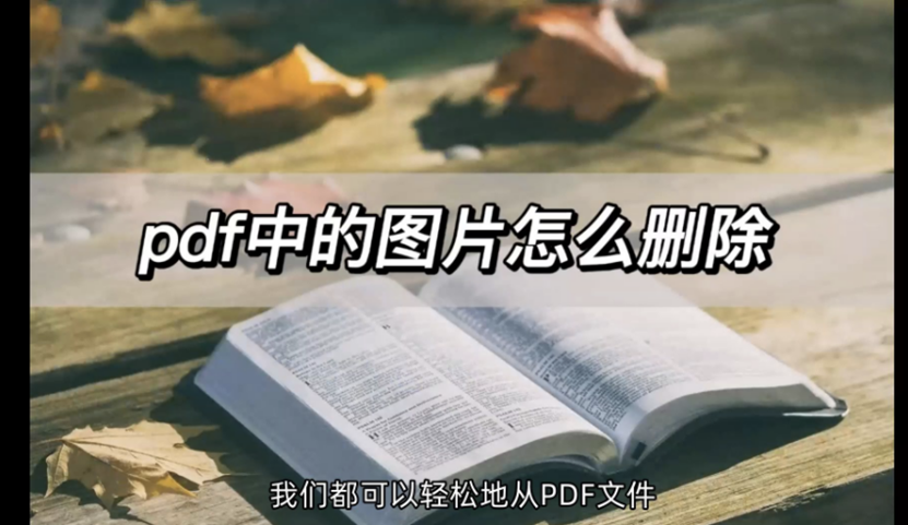 怎么删掉pdf上的图片是最简单的方式